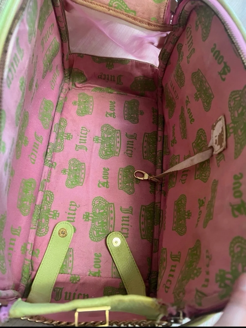 Vintage Juicy Couture pink and green Girl's Best Friend dog carrier